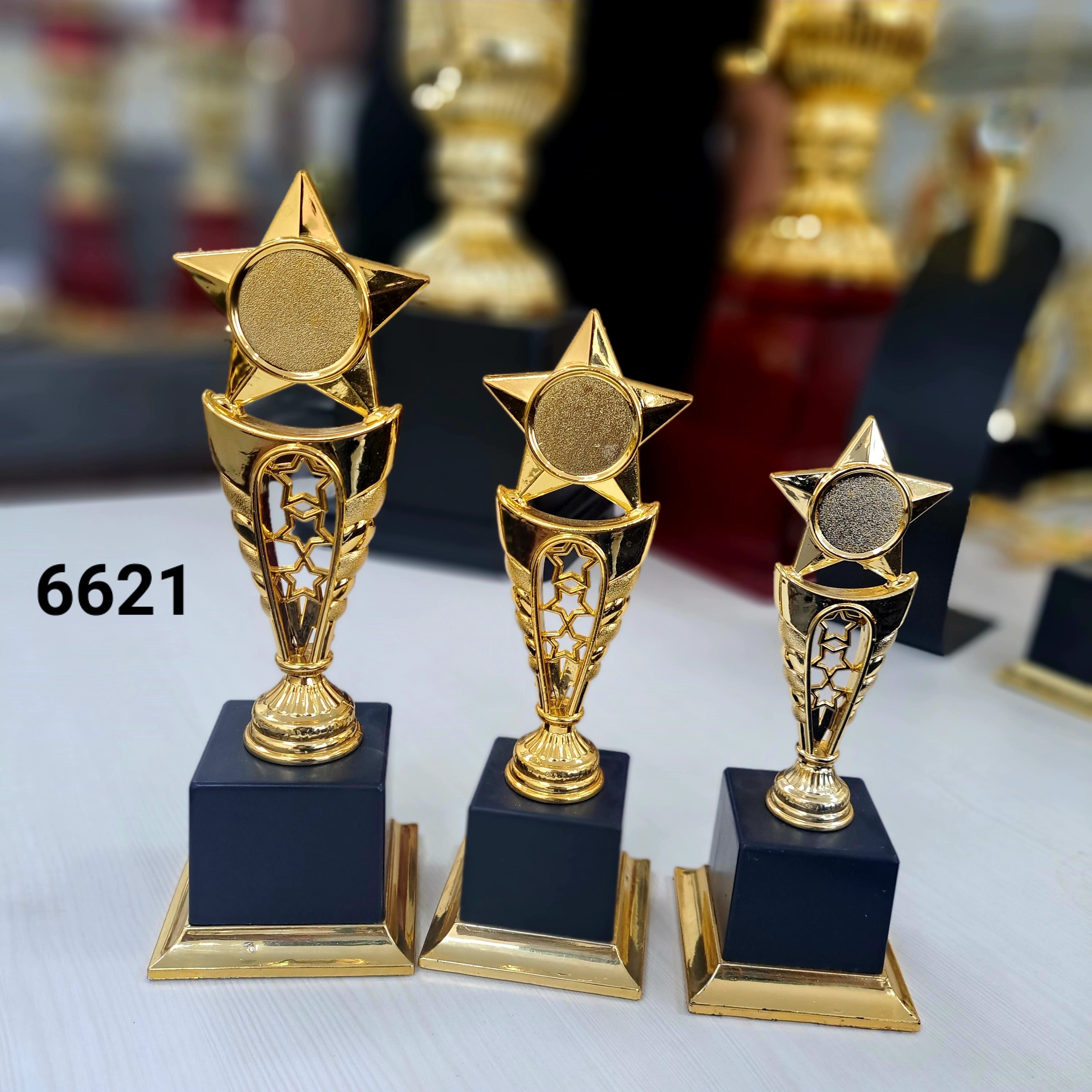 6621 Star Premium Fiber Trophy