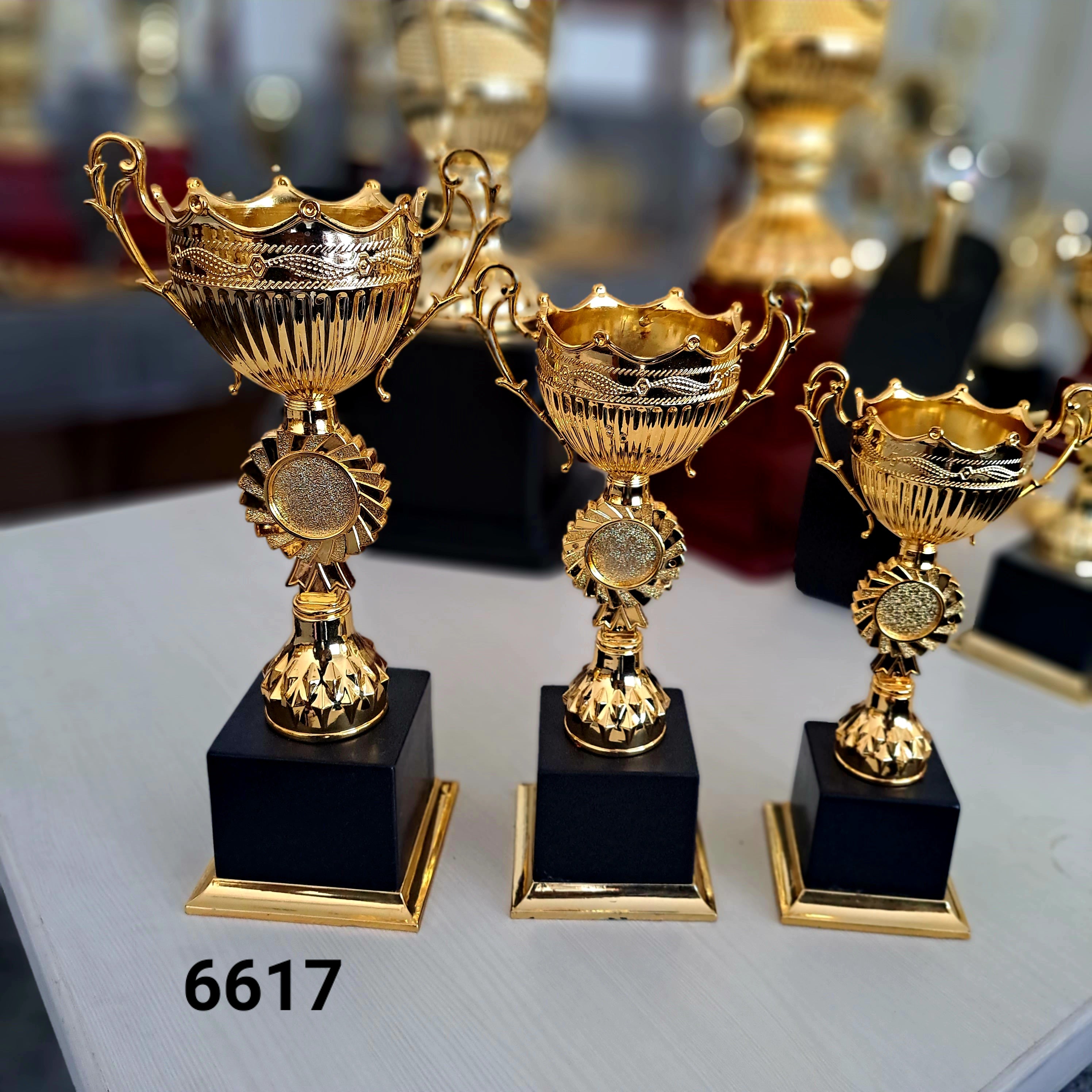 6617 Open Crown Cup Fiber