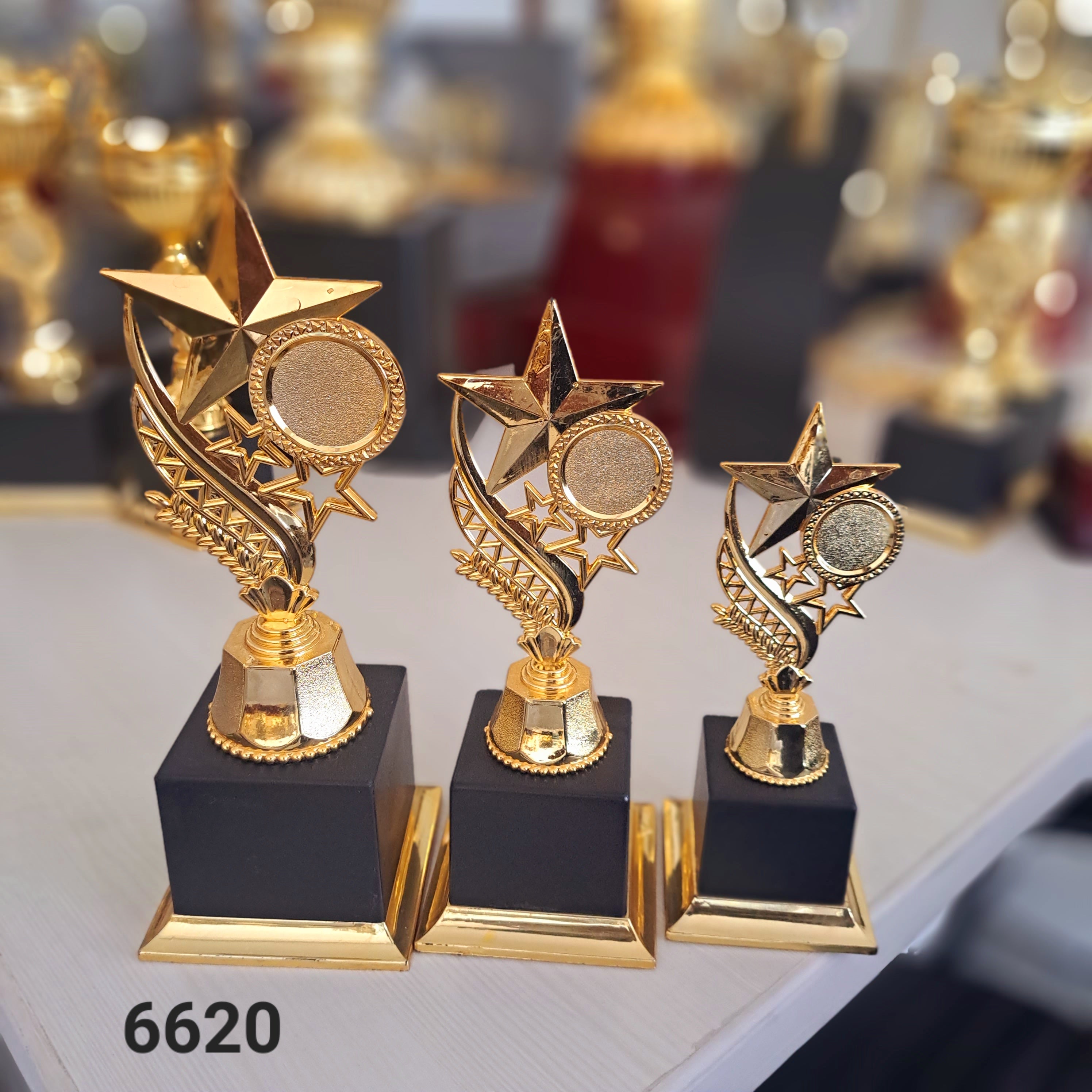 6620 Star Logo Fiber Trophy