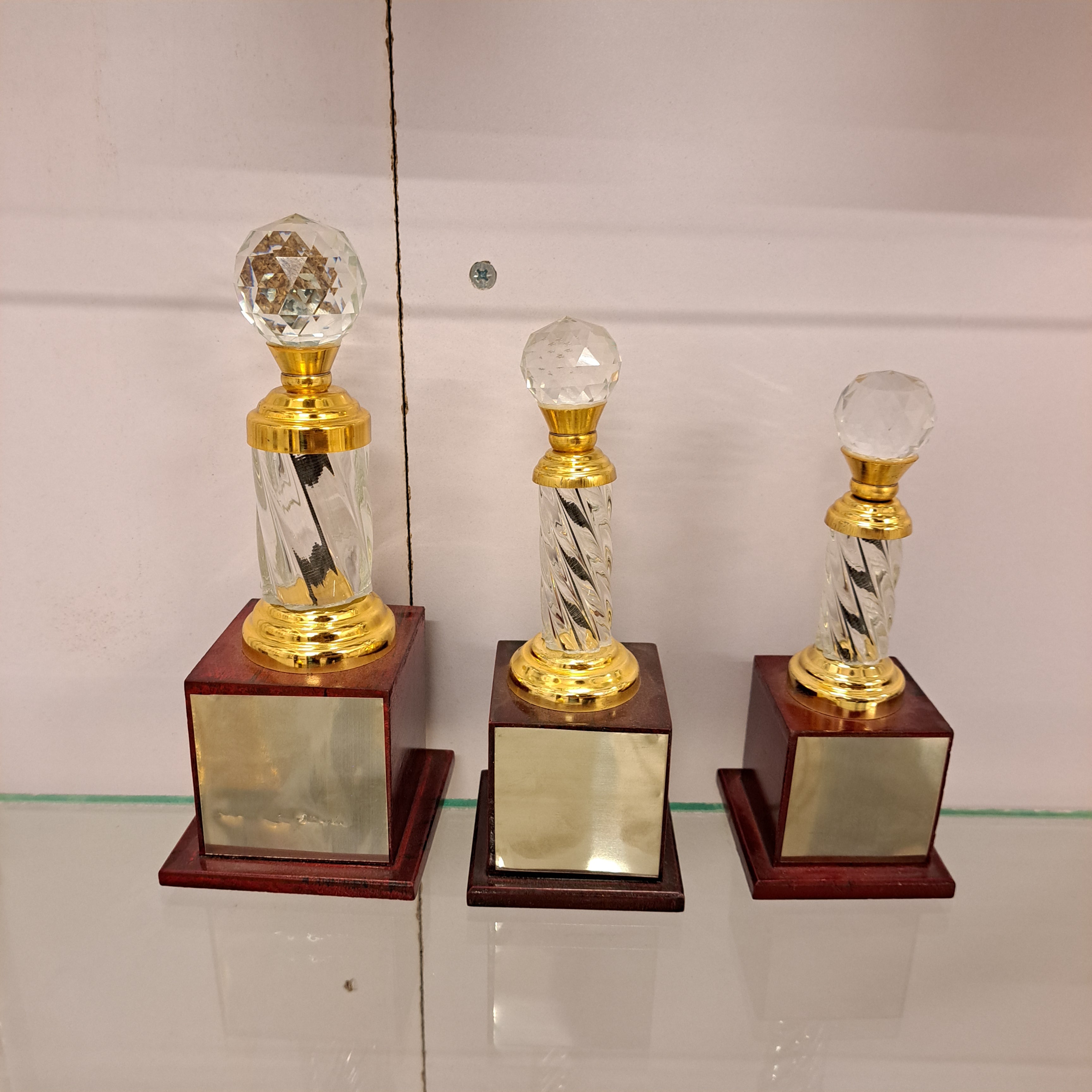 304 Diamond Crystal Trophy