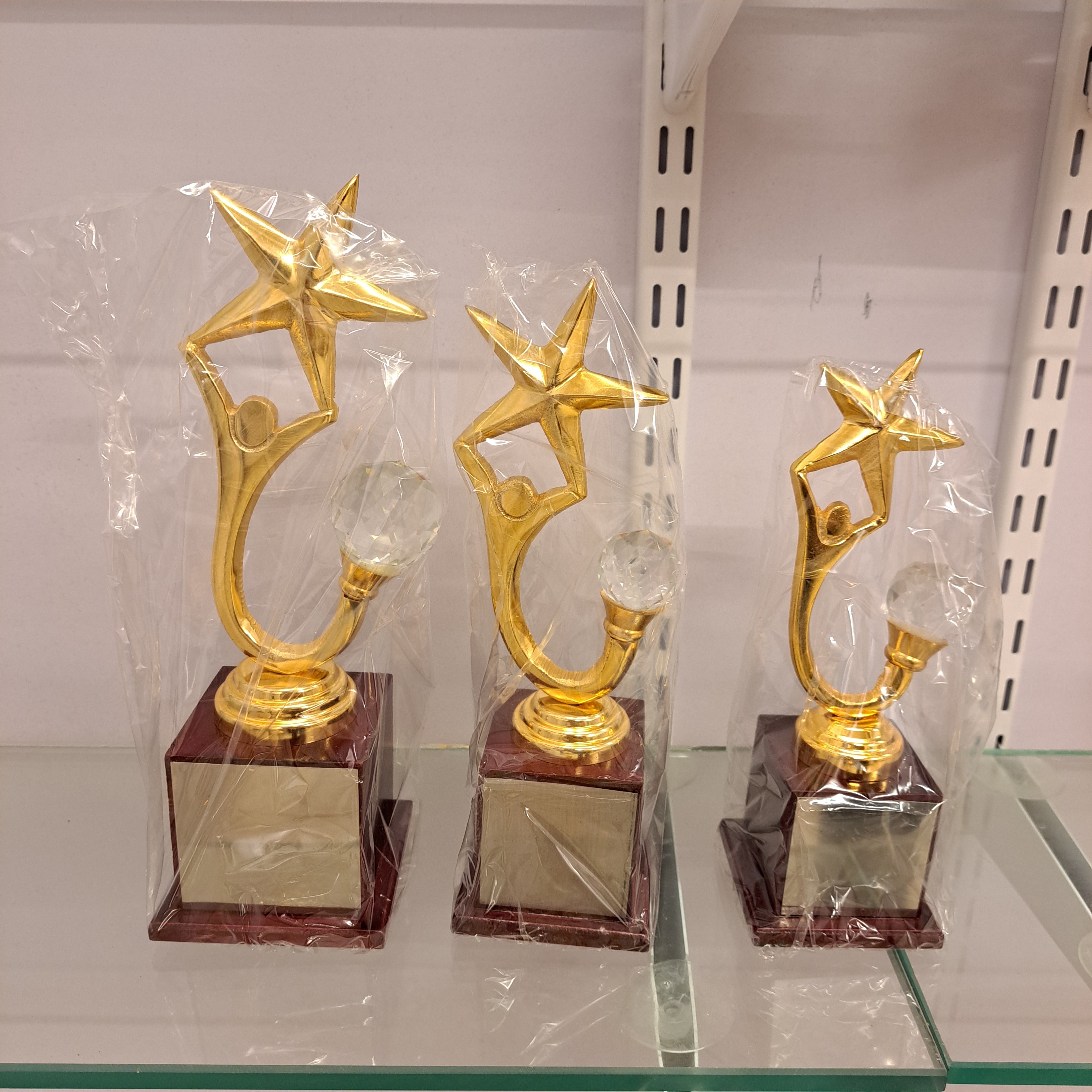 4375 Star Diamond Trophy