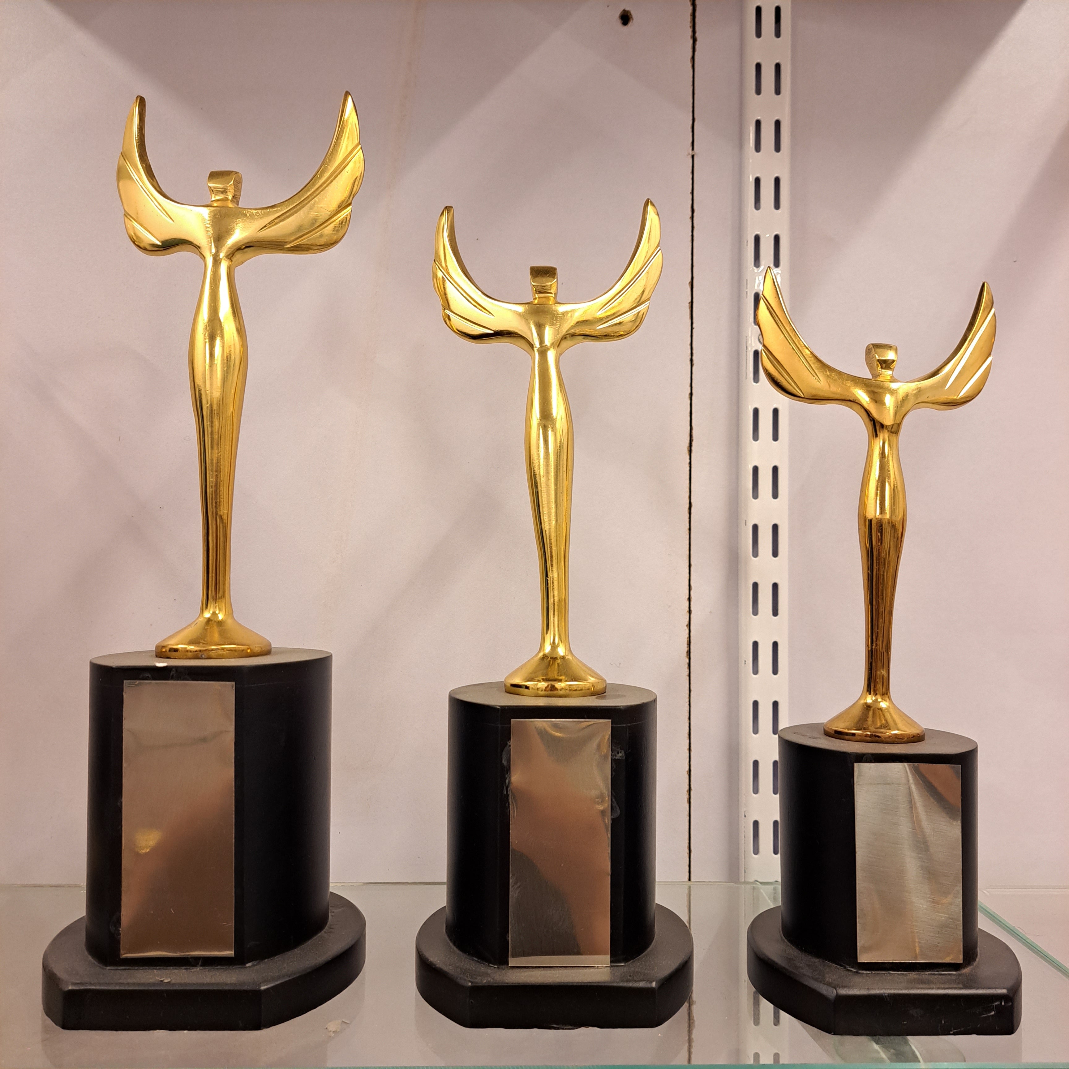 230 Golden Wing Trophy