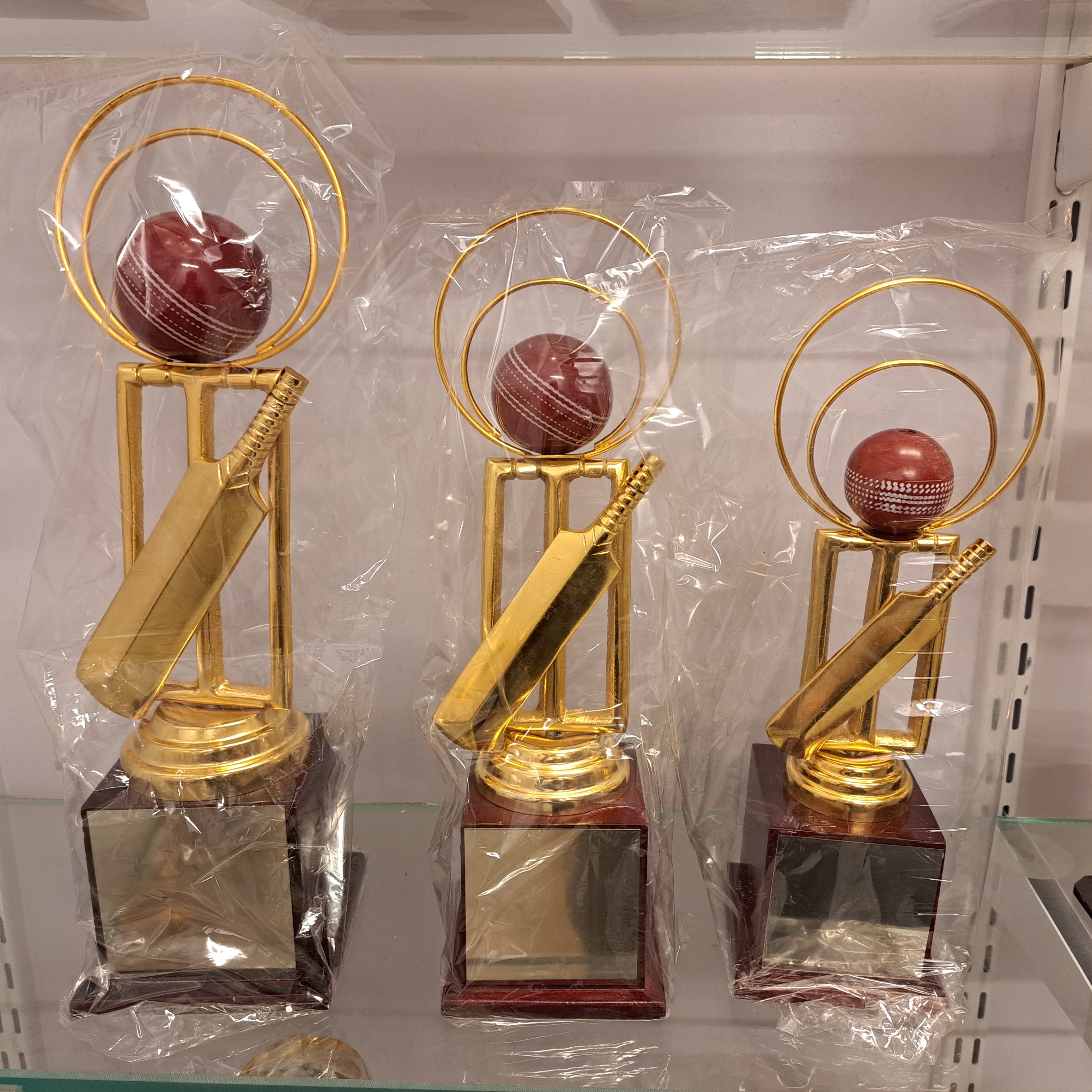 Trophy Cricket Series Batsman