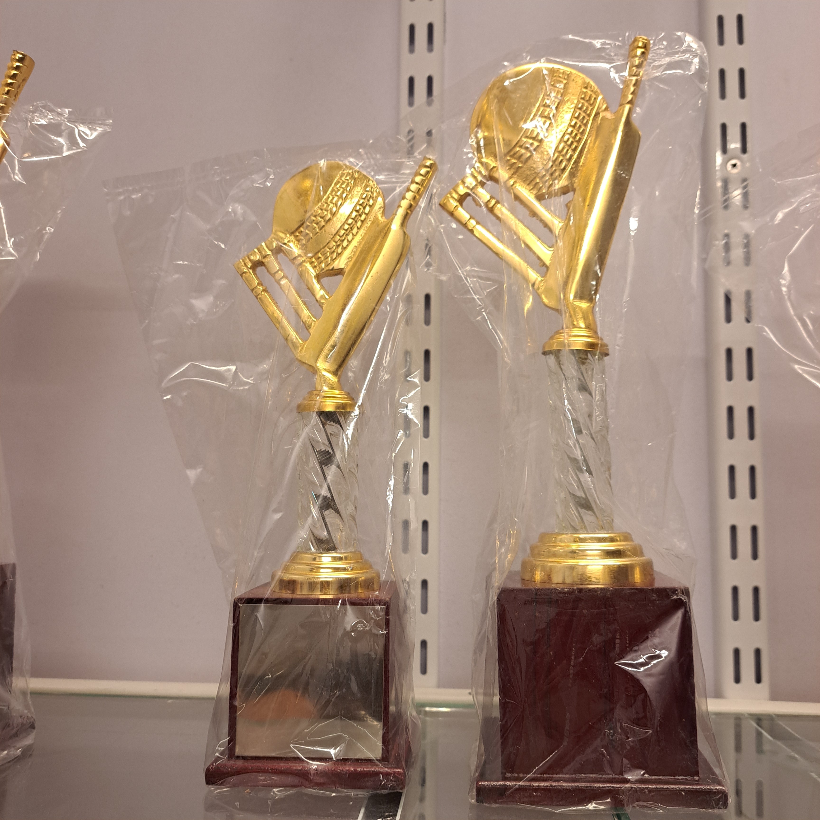 Trophy Cricket Series